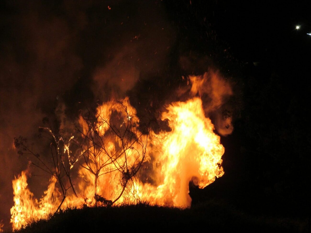 wildfire nj