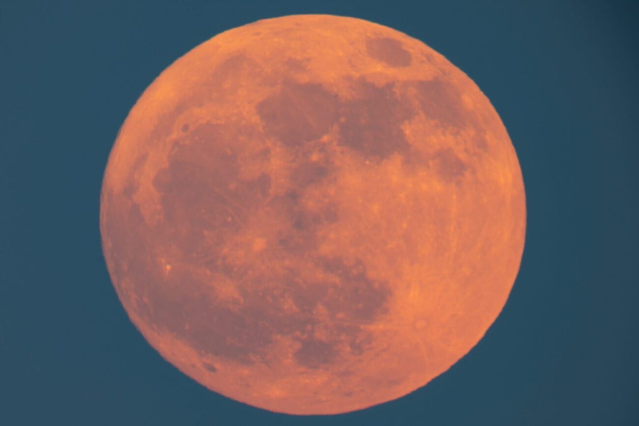 strawberry moon