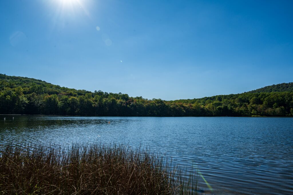13 New Jersey Swimming Holes Worth Visiting This Summer