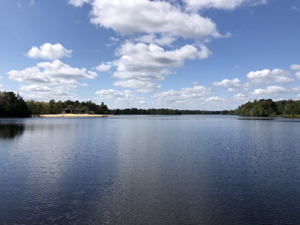 Atsion Lake within Wharton State Forest
