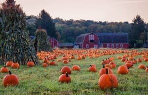 pumpkin picking farms NJ