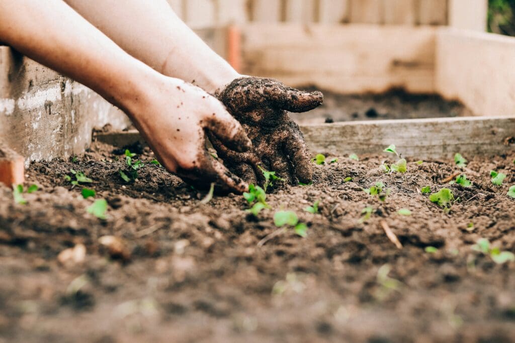 human composting new jersey