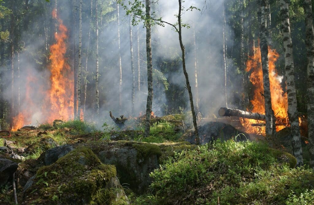 West Milford wildfire