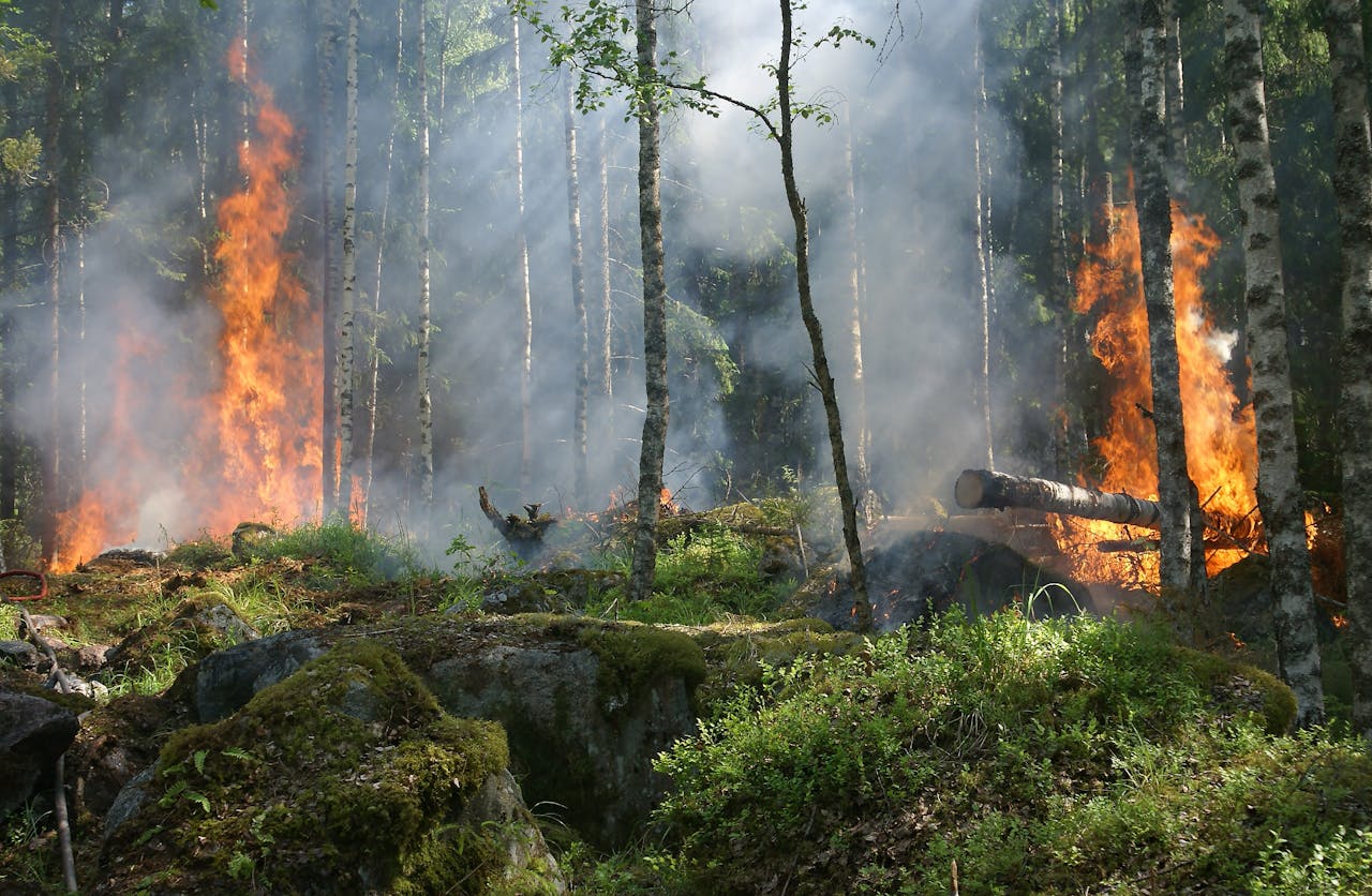 West Milford wildfire