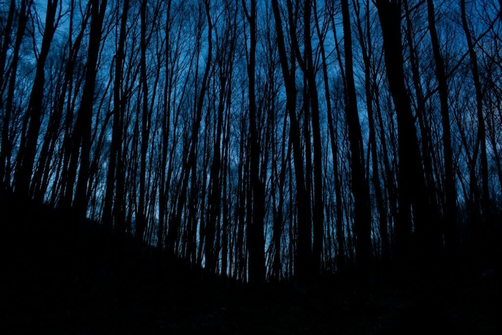 Fog-shrouded Clinton Road in West Milford, New Jersey at dusk.