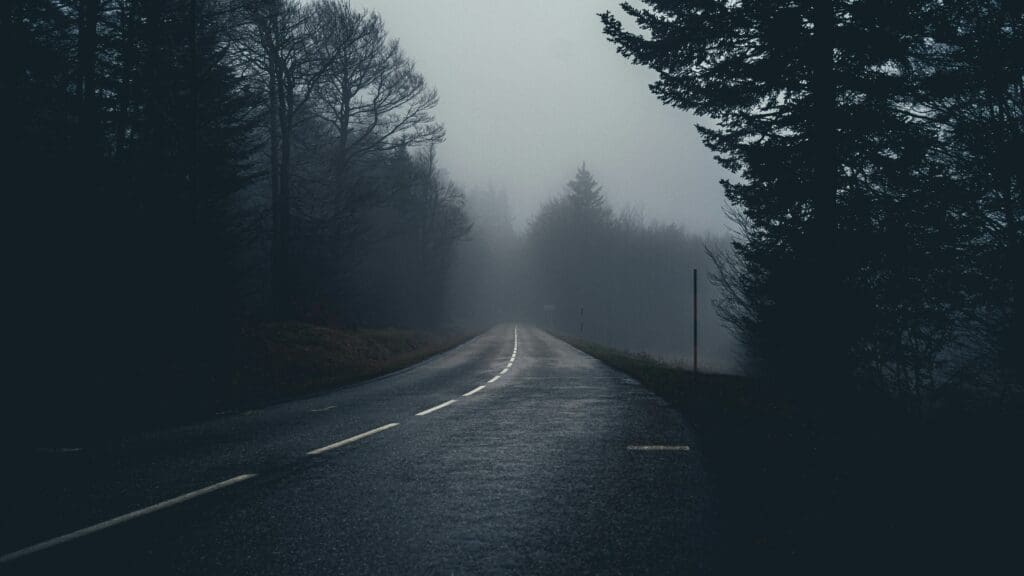 Foggy winding road through a dense forest on a misty day