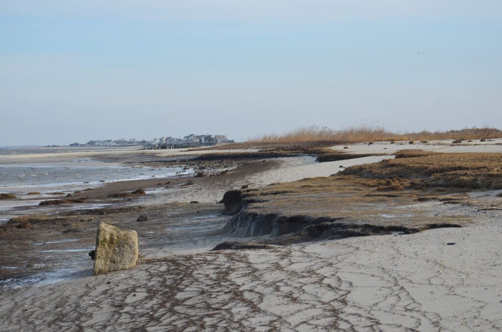 Eroded dunes and narrowed shoreline in New Jersey before restoration.