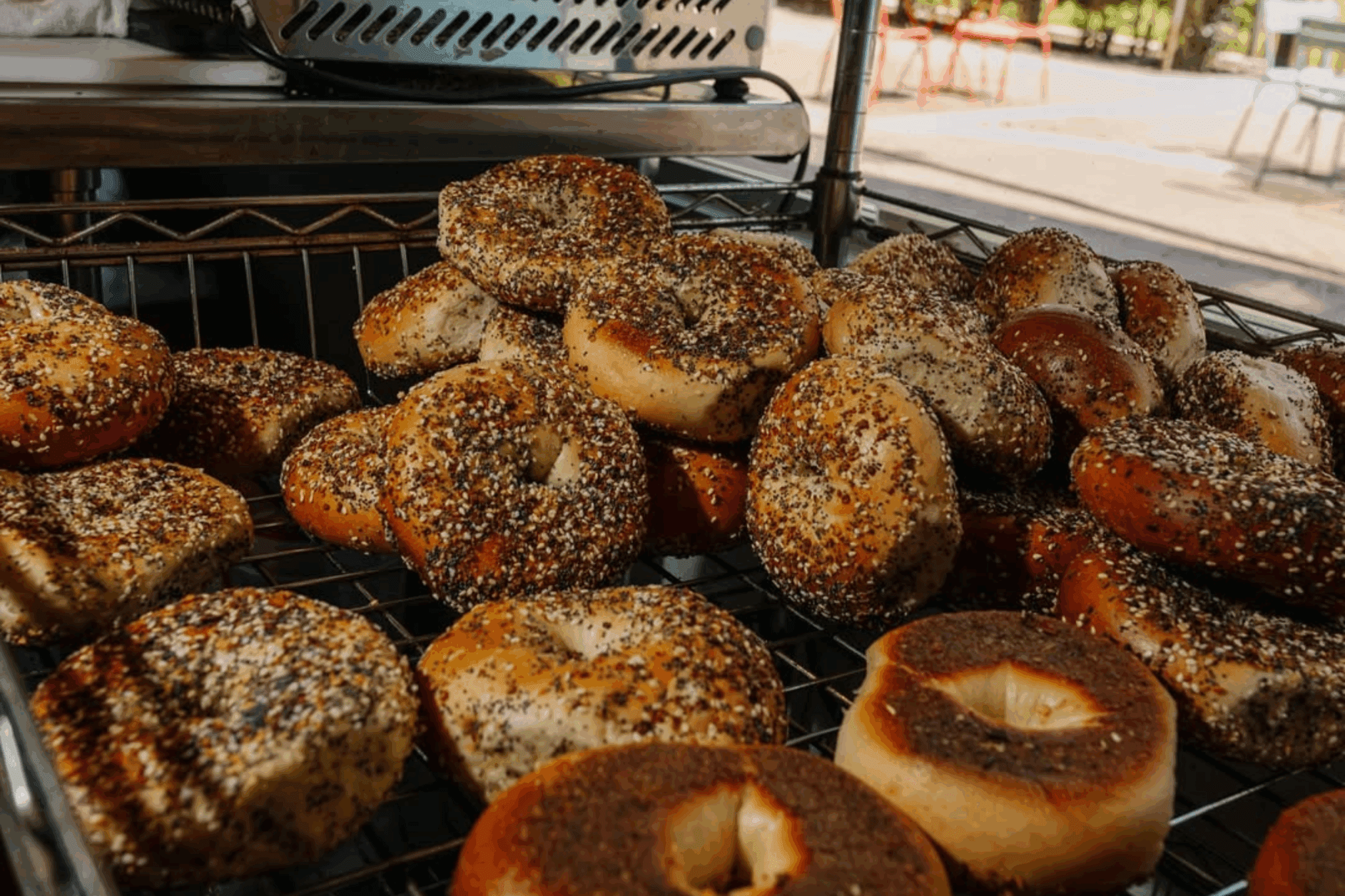 Everything bagels at Starship Bagel in Dallas Fort Worth
