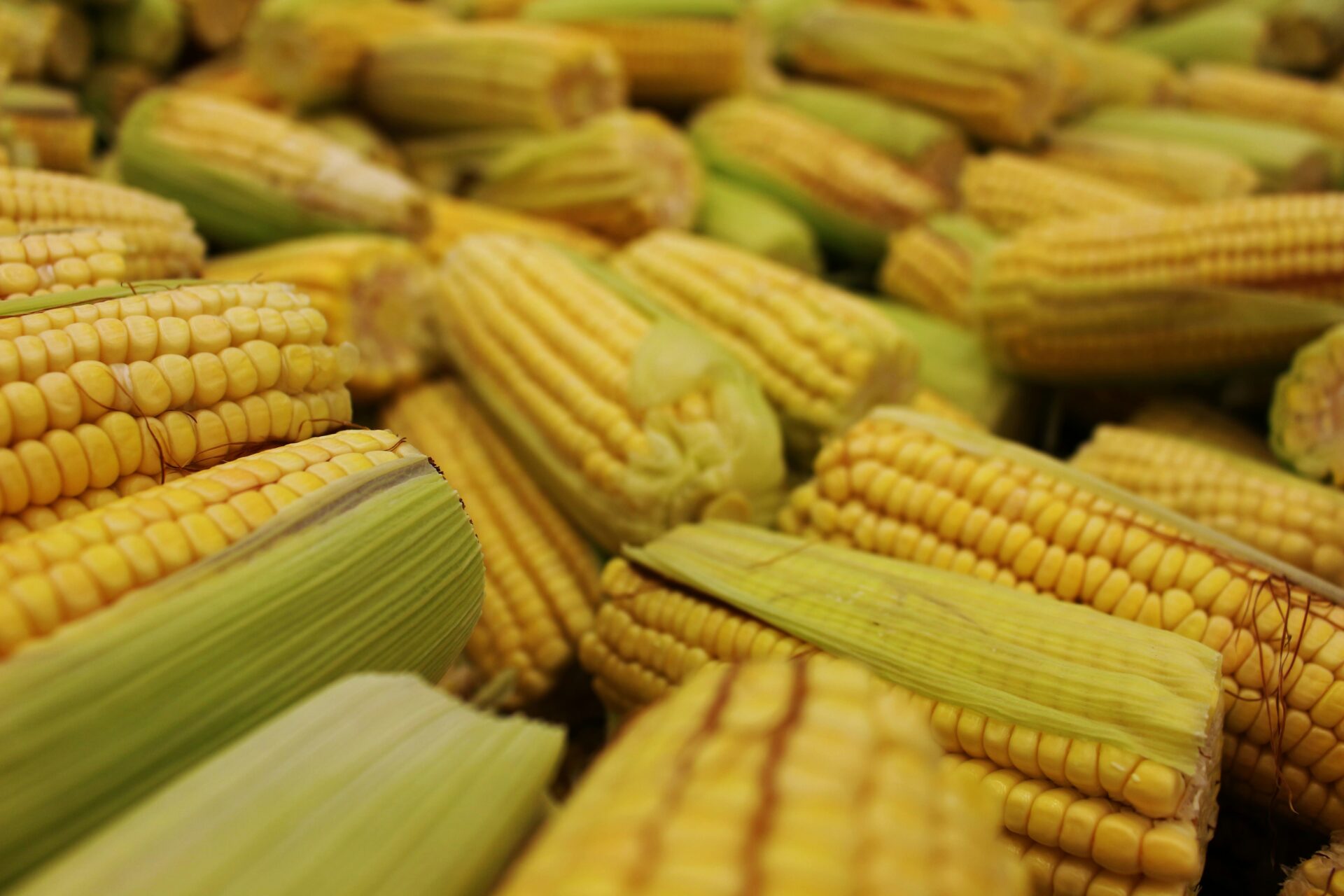 NJ department of agriculture sends $4m to local food banks to purchase food from NJ farms