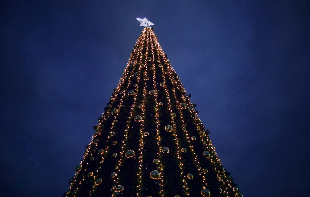 A tall outdoor Christmas tree lit at night with a star on top.