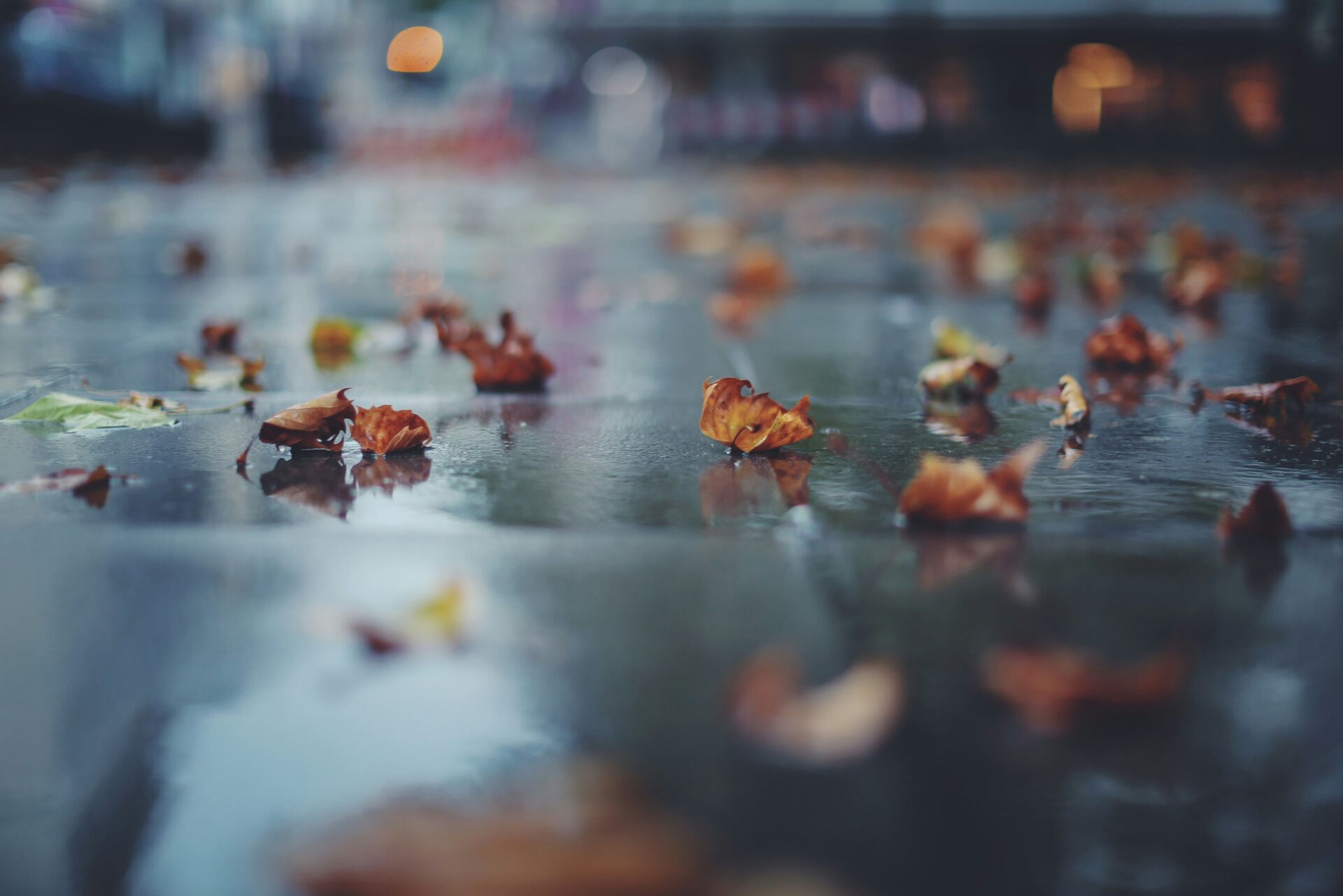 rain and cold snap on thanksgiving 2025 NJ and new york