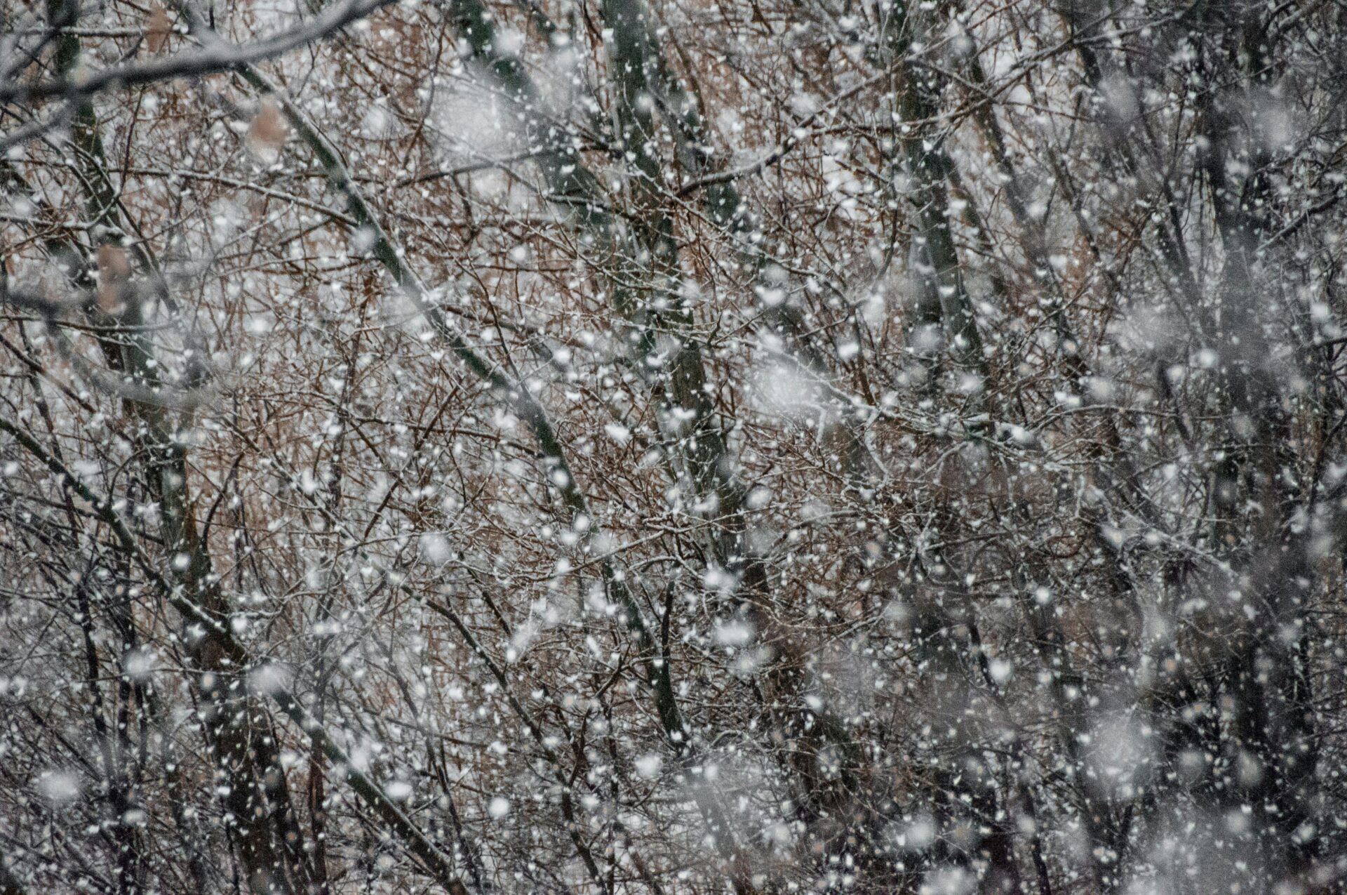first snow of season winter storm nj