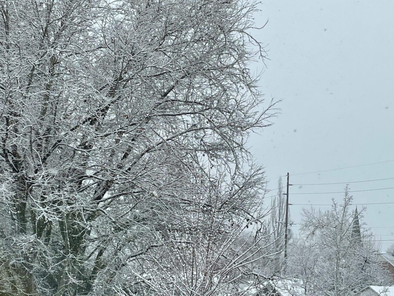 tuesday snow storm New Jersey