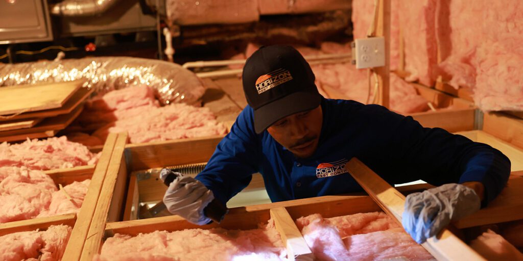 Horizon Pest Control