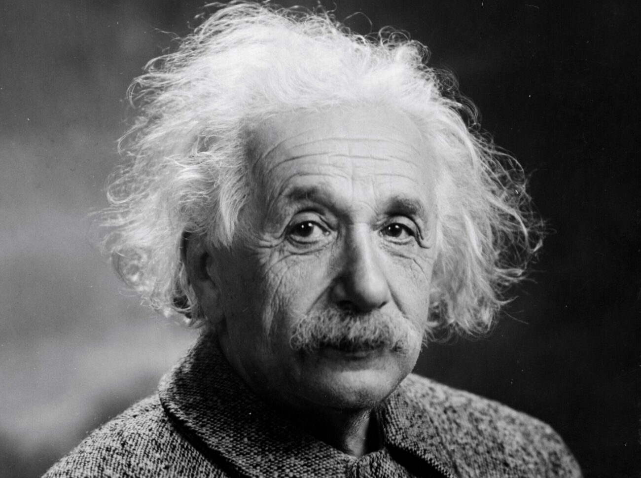 portrait of albert einstein
