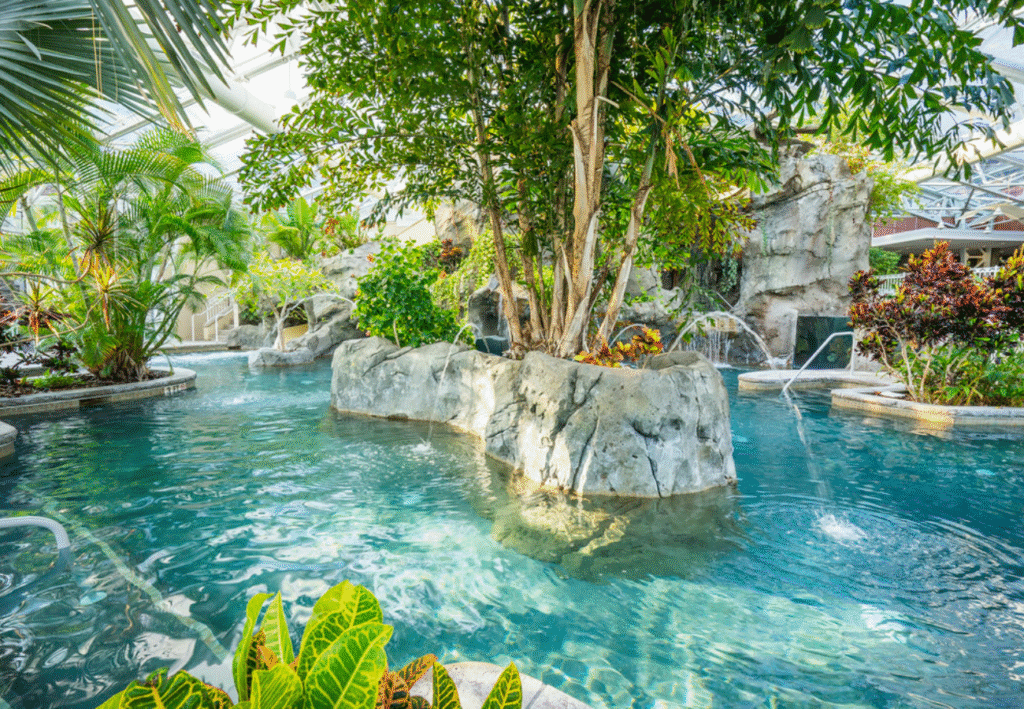 Crystal Springs indoor pool
