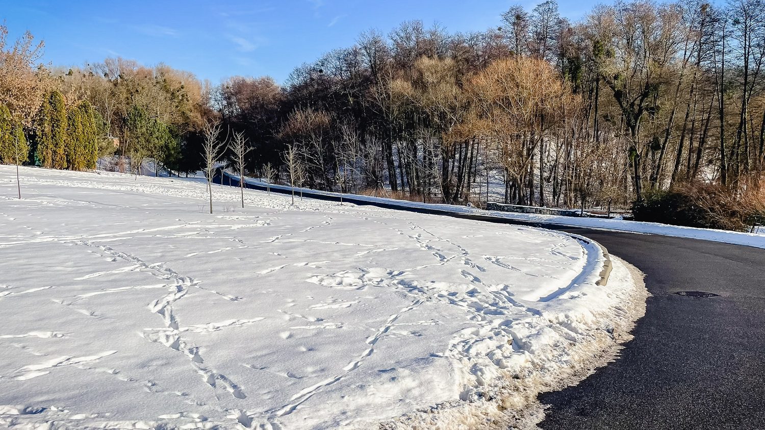 Sunny winter street in New Jersey during extreme cold