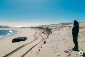 Exposed wooden ribs of the 1890 schooner Lawrence N. McKenzie revealed by beach erosion at Island Beach State Park