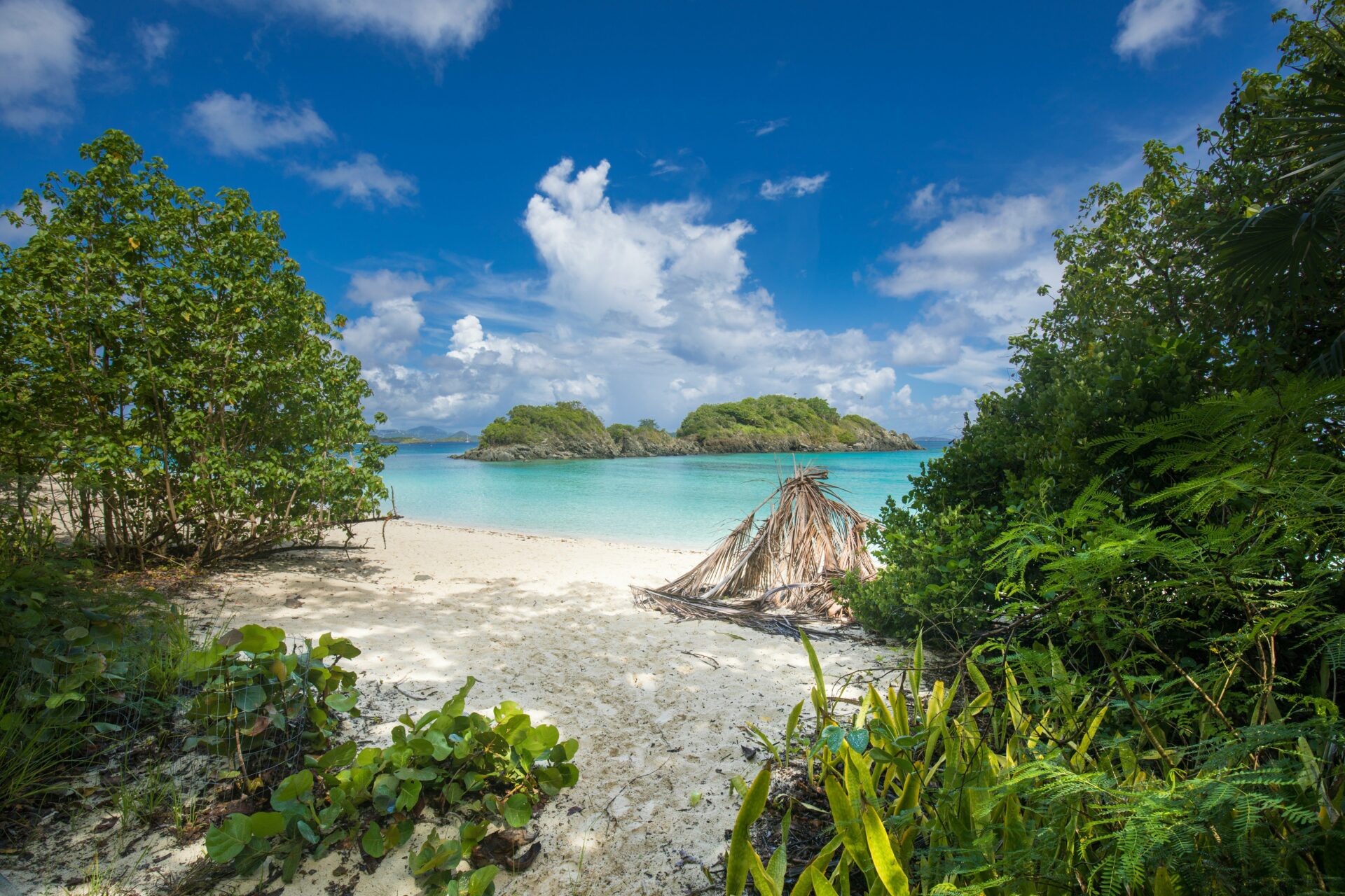 Tropical Caribbean beach with green trees and white sand inviting retirement living
