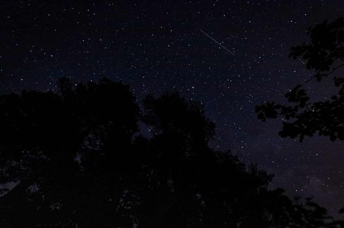 A meteor streaking across a starry night sky above tree silhouettes