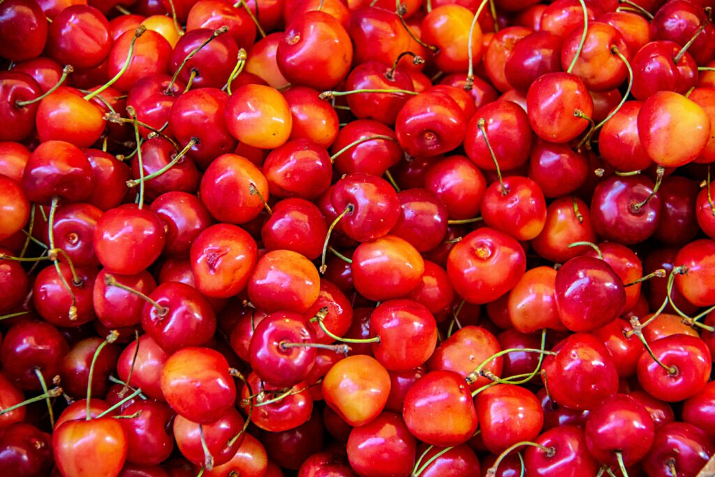 A pile of fresh red cherries — a fruit that South Jersey farmers lost entirely in the 2026 April freeze