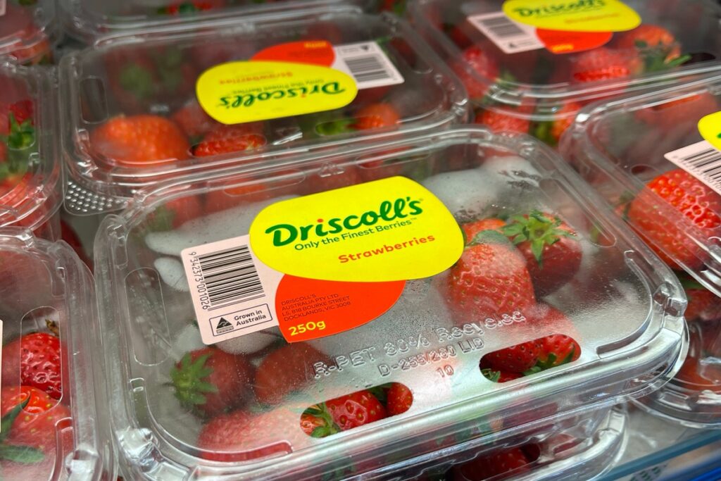 containers of Driscoll's strawberries on a grocery store shelf, a brand found to have 12 pesticide residues including PFAS-linked forever chemicals in a consumer lab test