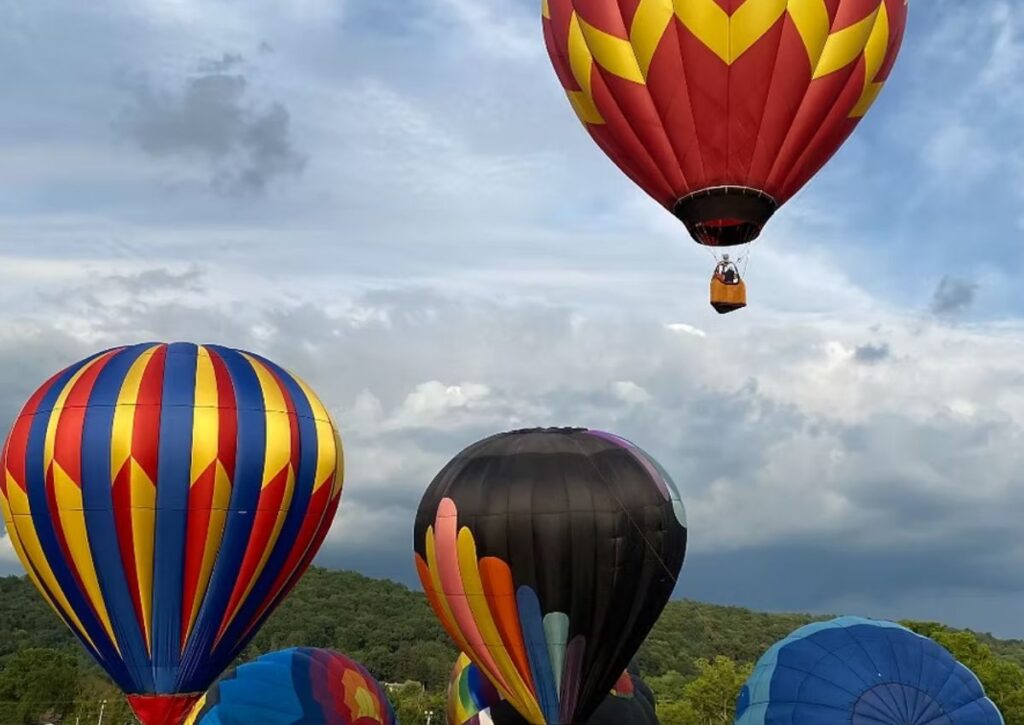 hot air balloons at balloon fest
