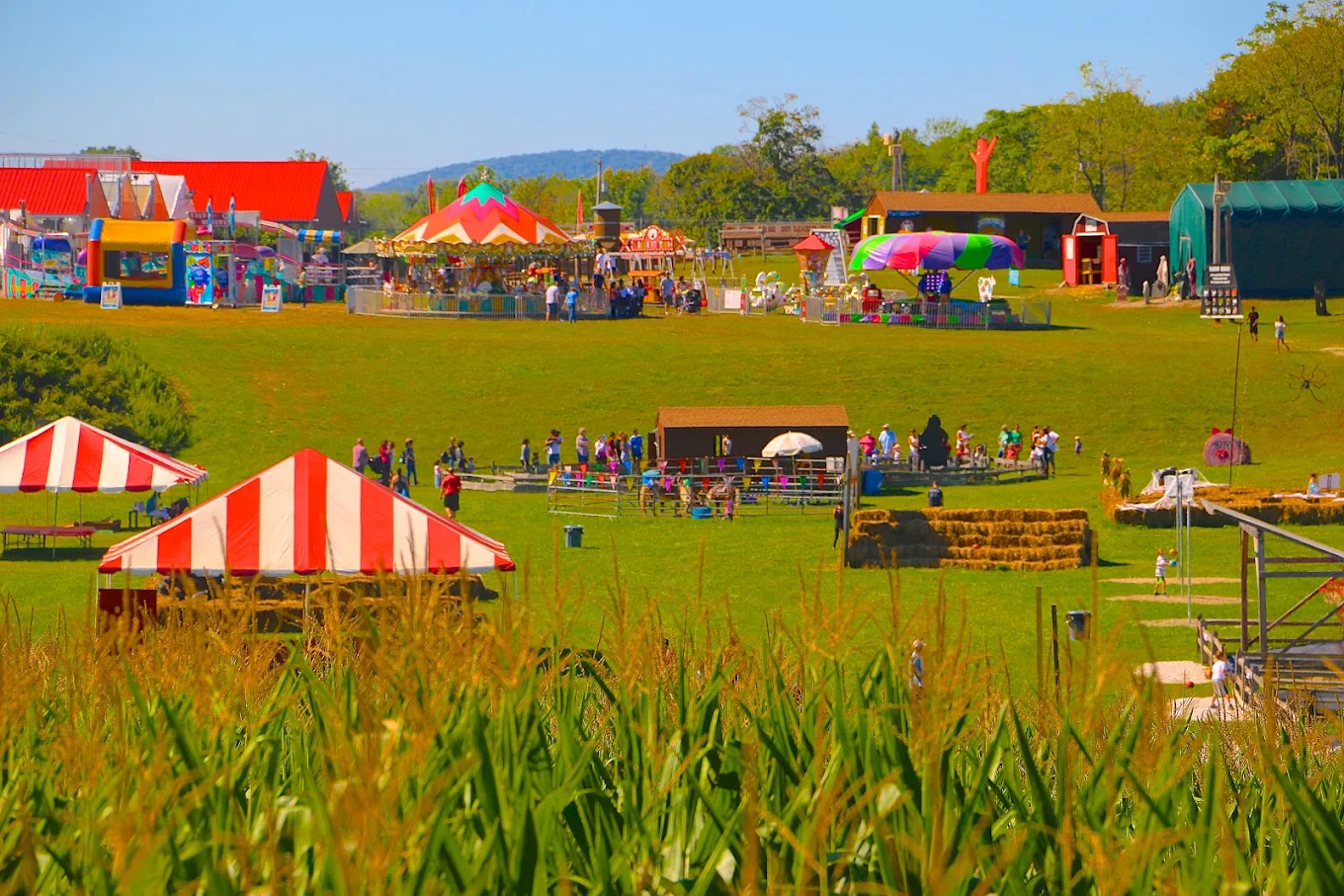 the great pumpkin festival at heaven hill farm in vernon, nj